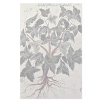 The Vine Custom Stationery
