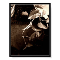the vines posters by nineveh the vines posters
