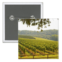 The vineyard and a valley with a forest - pinback button
