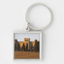 The vineyard with syrah vines and the chateau keychains