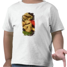 The Virgin of the Green Cushion, 1507-10 T-shirts