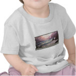 The Visitor Tee Shirts