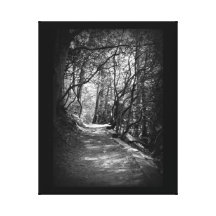 The Vogel Path Gallery Wrapped Canvas