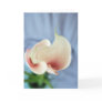 The Vortex Lily Flower Greeting Card