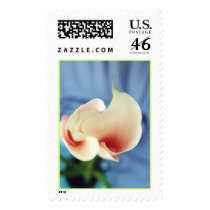 The Vortex Stamp