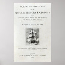 The Voyage of the Beagle Print