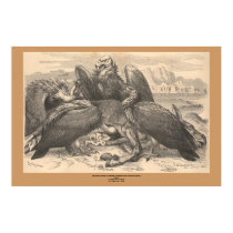 The Vultures posters