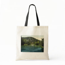 The Waldsee, Freiburg, Baden, Germany rare Photoch Bags