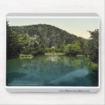 The Waldsee, Freiburg, Baden, Germany rare Photoch Mouse Pad