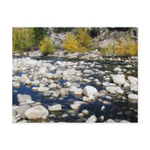 The Walker River in Autumn Post Cards