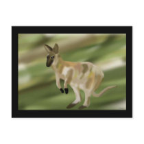 The Wallaby Jump postcards