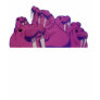 The Walruses On The Rocks Tee Shirt
