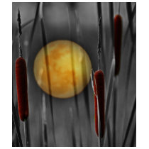 The Waning Moon t-shirts by laureenr The Waning Moon t-shirts
