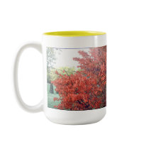The Warm Glow of Autumn mugs by skywatcher The Warm Glow of Autumn mugs