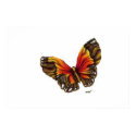 THE WARPPED BUTTERFLY posters