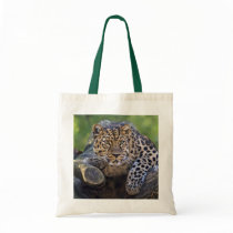 The Watcher Bag