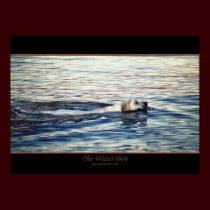 THE WATER BOY Dog Art Poster posters by RavenSpiritPrints THE WATER BOY Dog Art Poster posters