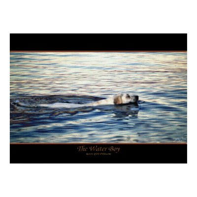 THE WATER BOY Dog Art Poster by RavenSpiritPrints