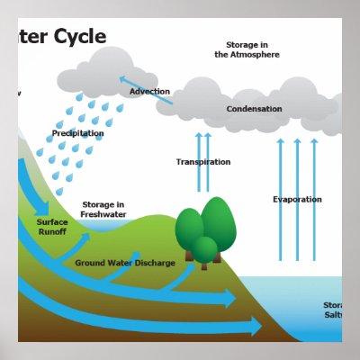 water cycle diagram with labels. The Water Cycle Posters by