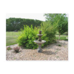 The Water Fountain Postcard