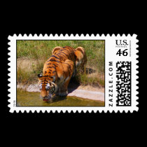The Water Hole stamps