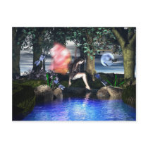 The Water Hole postcards