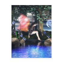 The Water Hole postcards