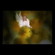 The Wattle Flower Angel posters