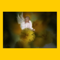 The Wattle Flower Angel posters