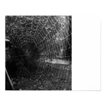 The Web in Black and White posters
