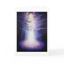 The Web with Dandelion Field cards