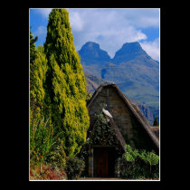 The Wedding Chapel postcards