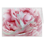 The Wedding Flower Card