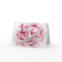 The Wedding Flower Greeting Cards