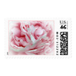 The Wedding Flower Stamps