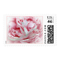 The Wedding Flower Stamps