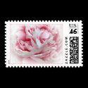 The Wedding Flower Stamps #2