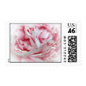 The Wedding Flower Stamps by WesternWeddings The Wedding Flower Stamps