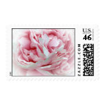 flowers, roses, peony, wedding, bouquet,