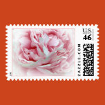 weddings, flowers, roses, peonies, peony, white,