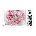 The Wedding  Thank You Stamps