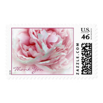 The Wedding  Thank You Stamps