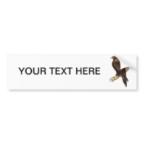 The Wedge Tailed Eagle. A Magnificent Bird of Prey Bumper Sticker