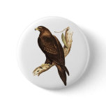The Wedge Tailed Eagle. A Magnificent Bird of Prey buttons