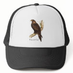 The Wedge Tailed Eagle. A Magnificent Bird of Prey hats
