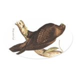 The Wedge Tailed Eagle. A Magnificent Bird of Prey Sticker