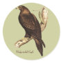 The Wedge Tailed Eagle. A Magnificent Bird of Prey Stickers