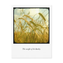 The weight of the Barley postcards