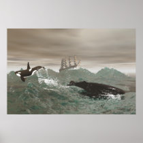 The Whale The Orca and the Ship  Print posters