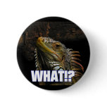 The What!? Iguana